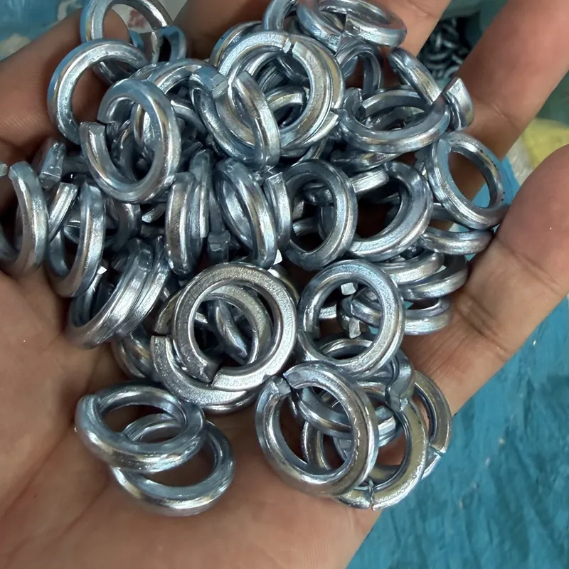 Spring washers and metal fastener assortment